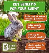 Bunny Bistro Flaked Peas 1kg Natural Dried Pea Flakes Small Animal view 3