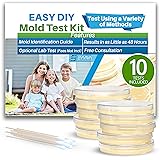 Evviva Sciences Mold Test Kit for Home - 10 Easy