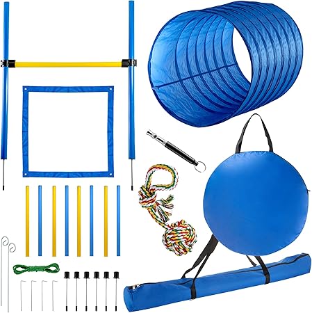 agility training tools