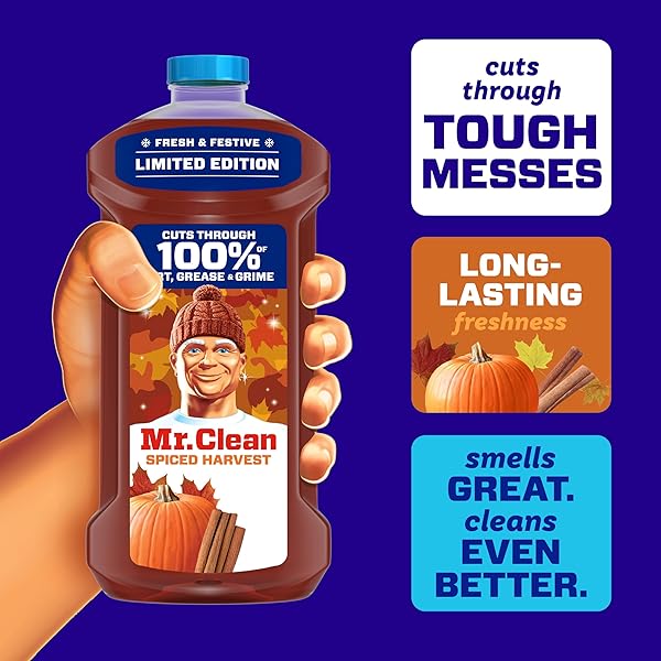 MR. CLEAN ALL PURPOSE CLEANER, CLEANING LIQUID, SPICED HARVEST, 41OZ