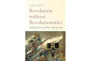 Revolution without Revolutionaries: Making Sense of the Arab Spring