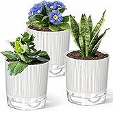 CWYEYE 3 Pack Self Watering Pots Set, 5.5 Inch Self Watering Pots for Indoor Plants, Planter Pot with Wick Rope and Reservoir for African Violet, Spider Plant, Orchid
