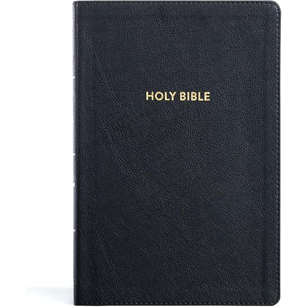 KJV Rainbow Study Bible, Burgundy LeatherTouch, Black Letter, Pure