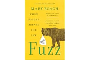 Fuzz: When Nature Breaks the Law