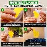 Super Ninja Fungus Gnat Killer 30 Pack Indoor Plant Traps Non-Toxic Yellow view 4