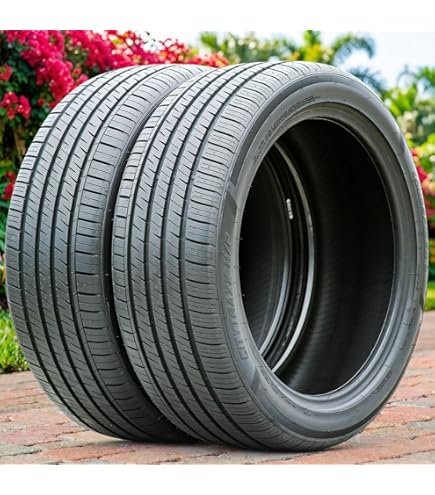 Amazon.com: Zeta Meglio Performance Radial Tire - 245/45ZR19 102W