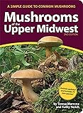 Mushrooms of the Upper Midwest: A Simple Guide to