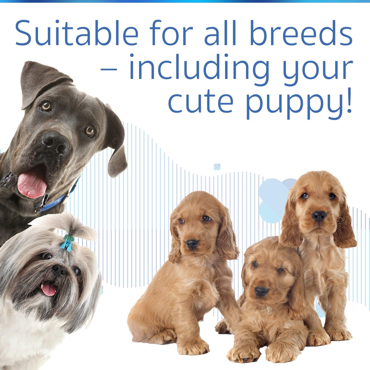 don sullivan's perfect dog training