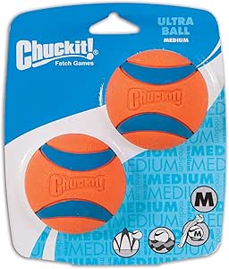 chuck it indoor ball