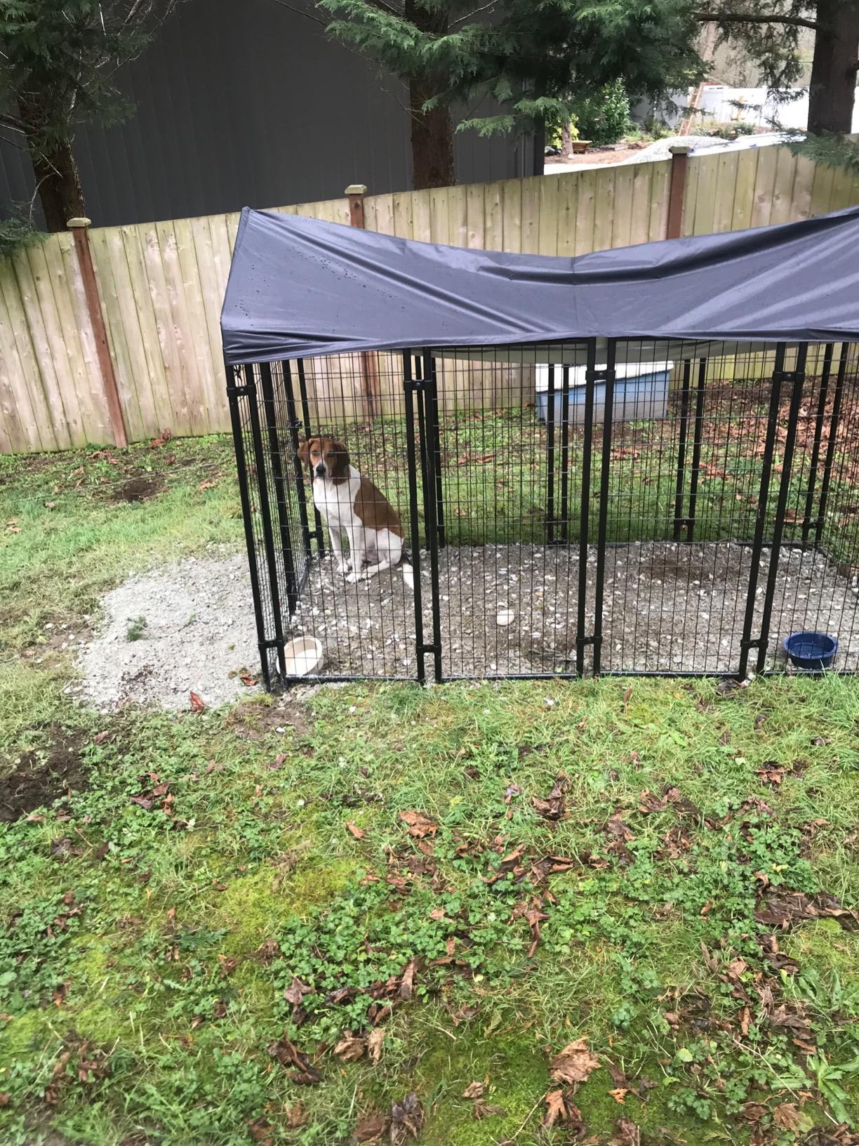 28/mo Finance Amazon Basics Welded Outdoor Wire Crate Kennel Buy