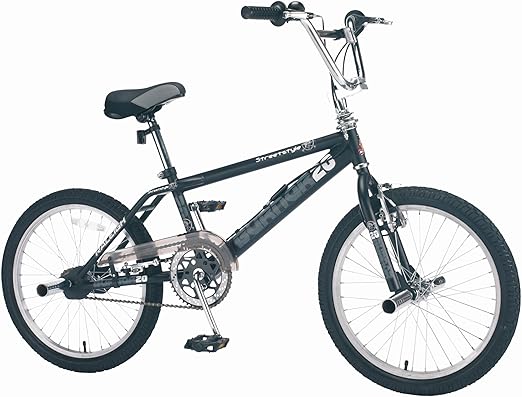 raleigh burner bmx for sale