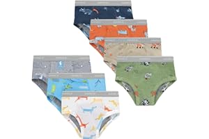 Hanes Toddler Boys' Potty Trainer Underwear, Light Leaks Boxer Briefs & Briefs Available, 6 & 7 Pack