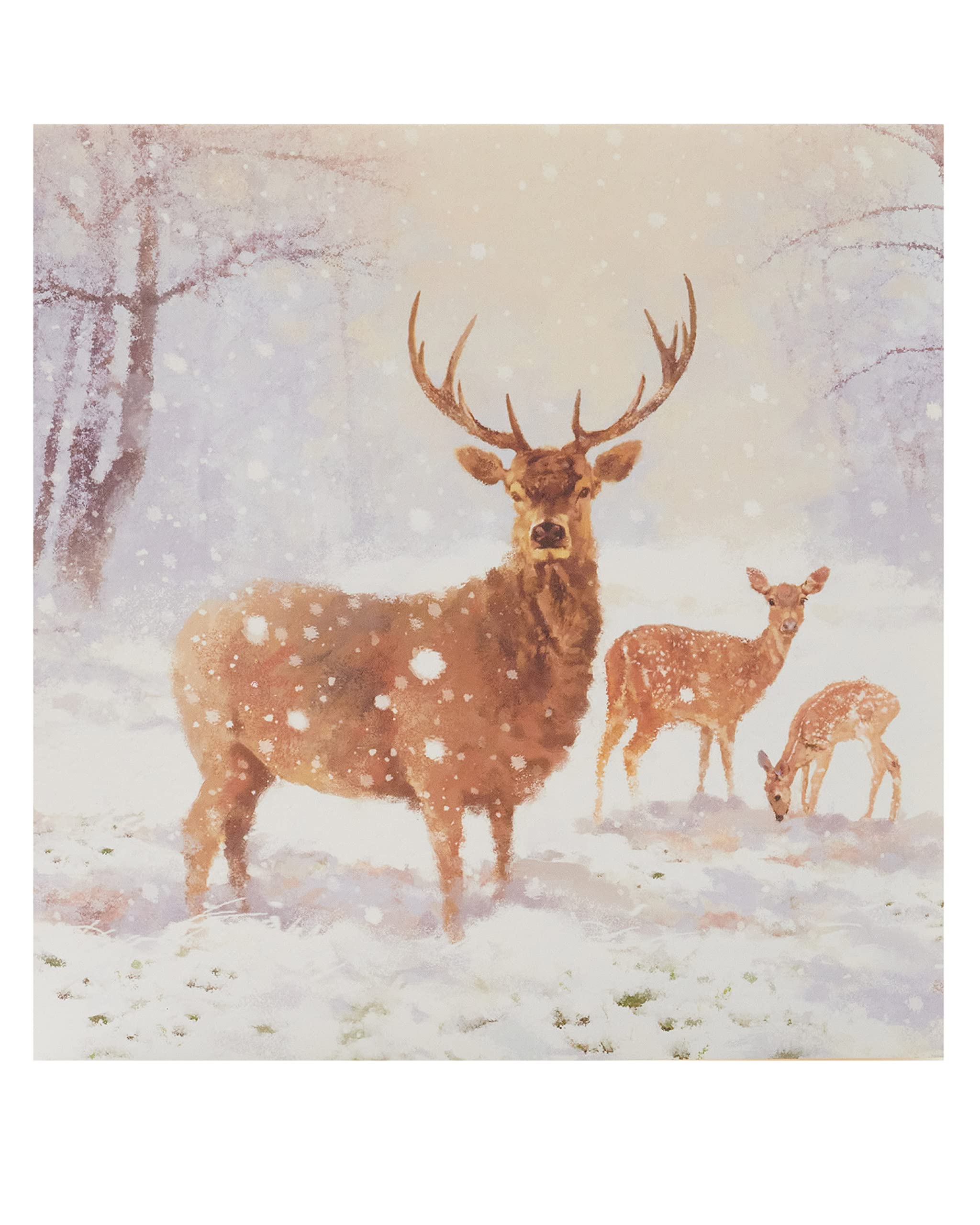 Pack of 8 Snowy Stag NSPCC Charity Christmas Cards Xmas Cards