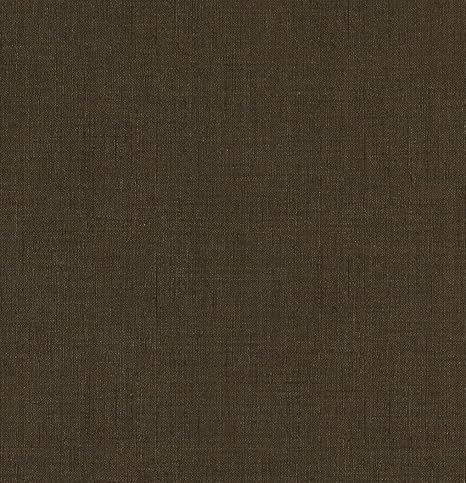 Amazon サンゲツ 壁紙38m シンプル 無地 ブラウン Taste Of Life Fe 3731 Diy 工具 ガーデン