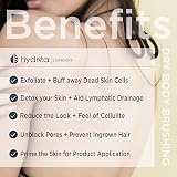 Hydrea London Round Natural Body Brush Bamboo Cactus Bristle Dry Brushing view 4