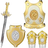 FTingLAND Kids Knight Costume with Armor Set - Medieval Crusader Role Play Costume for Boys 3-5, Plastic Armor Suit with Sword, Shield,Vambrace,Royal King's Crown,Dragon Design Dress Up Cosplay