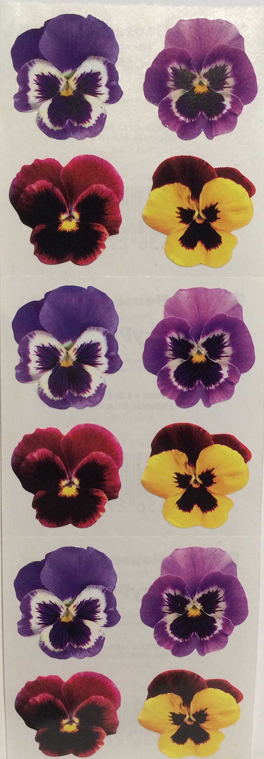 Pansy Purple Yellow Flowers Stickers - 6 Sheets