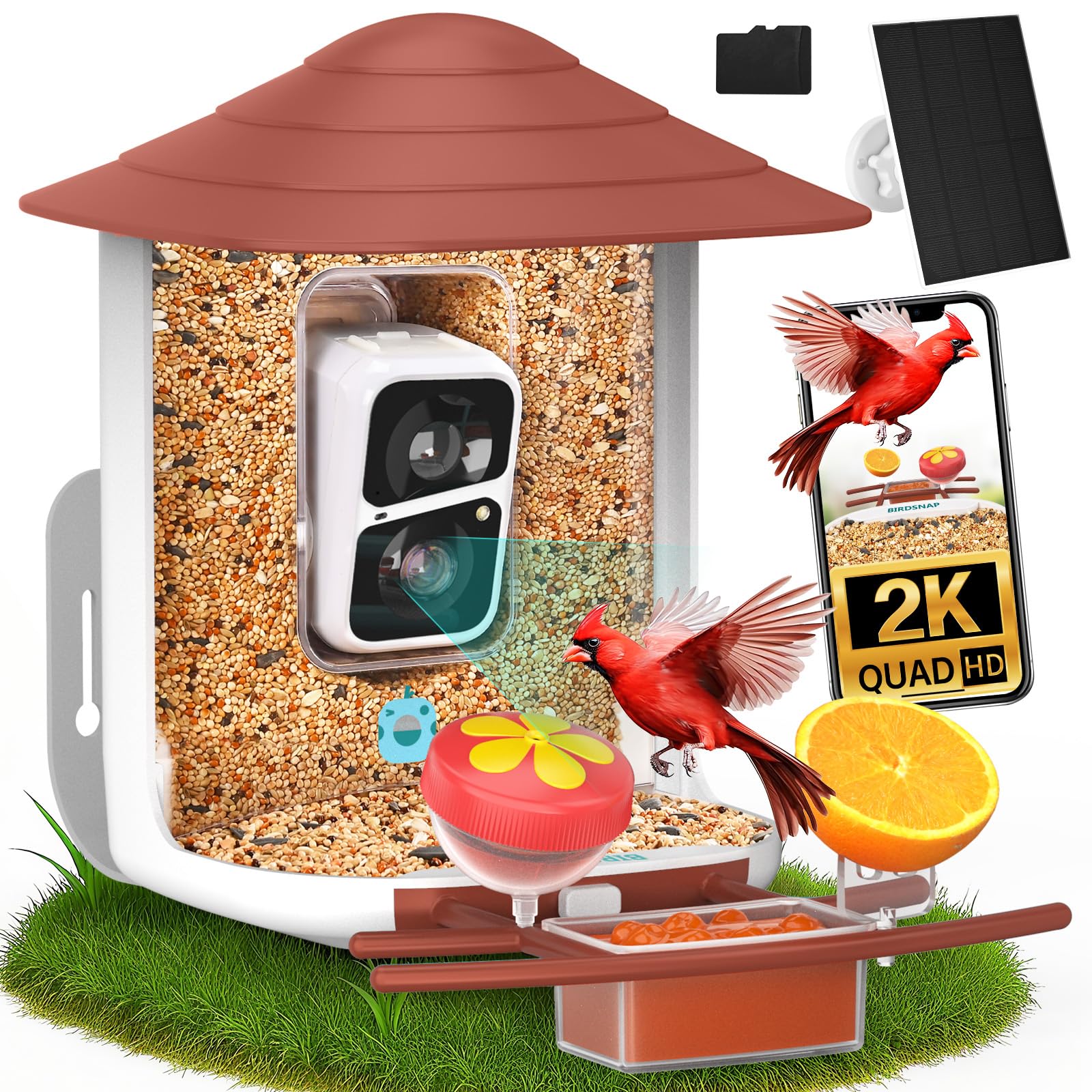 birdsnap® TUC Bird Feeder with Camera 2K HD, Solar Panel 32GB Card 4-in-1 Perch, 160°View Auto Detect & Notify AI Identify Video Bird Camera Wireless Outdoors Ideal Gift for Birds Lover Image