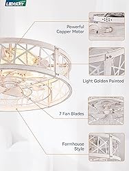 LEDIARY 20" Caged Ceiling Fan with Light, Small