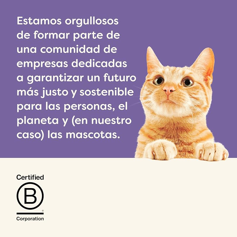 100 % Natural cremoso lickable sin Cereales Snack para Gatos y Gatitos, Pack Variedad, 32 × 15 g Sobres