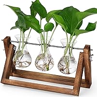YIBOT Propagation Station,Plant Terrarium with Retro Wooden Stand, Unique Gardening Birthday Gifts for Women Plant Lovers, Hy