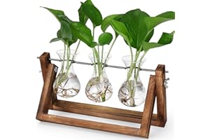 YIBOT Propagation Stations,Plant Terrarium with Retro Wooden Stand, Unique Gardening Birthday Gifts for Women Plant Lovers, Hydroponics Plants Home Office Garden Decor - 3 Bulb Glass Vases