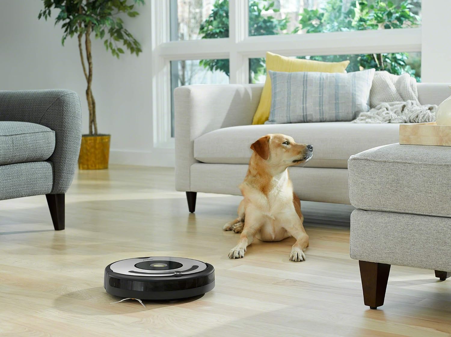 iRobot Roomba 615 Robot aspirapolvere Batteria X-Life da 2200 mAh Sistema  di Pulizia a 3 Fasi Maniglia Integrata Adatto a tappeti e Pavimenti  Tecnologia Dirt Detect Aspirapolvere e pulizia di pavimenti e