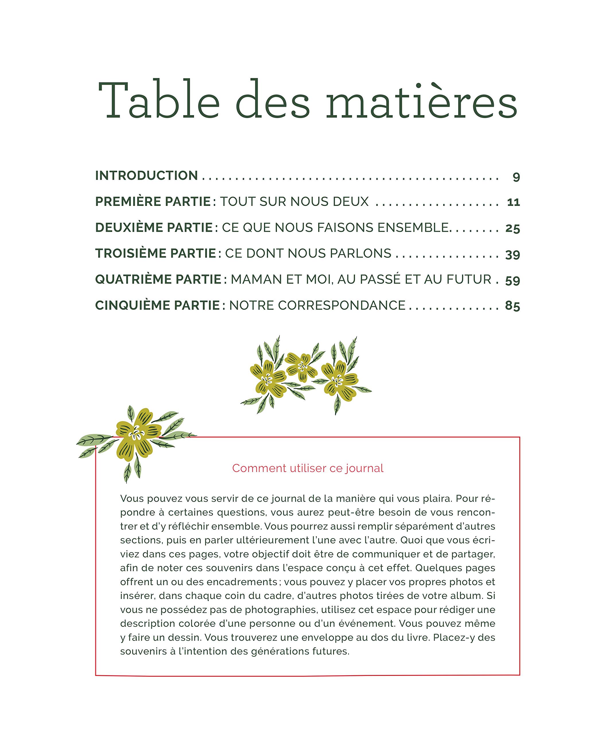 Notre Journal Mere Fille Un Album Souvenir A Partager French Edition Bluestreak Noyart Paule Amazon Com Books