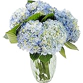 KaBloom-6 Blue Hydrangeas Bouquet, Flowers for Valentine, Mother's Day