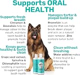 NutriPaw Dental Formula Water Additive for Dogs & Cats - Fresh Breath view 3
