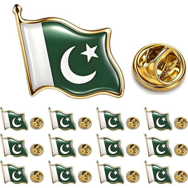 PAKISTAN ロゴ ピンバッジ Amazon.com: 100Pcs Official Pakistan Flag Lapel Pins Bulk - Metal
