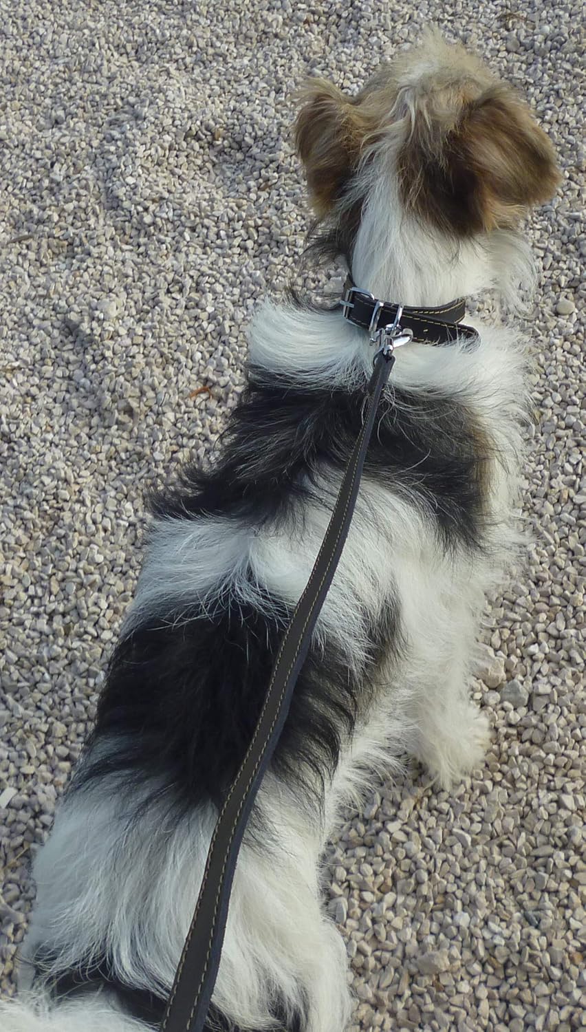 AIME Black Leather Dog Lead, Long Lead 1.2 m, Soft and Durable, 1.20m - Image 4