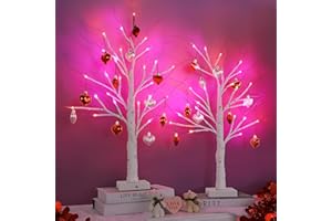 FLYSNK Valentines Day Decorations 2 Pack 24 Inch Lighted Valentines Tree with 24 Red Pink Lights, Timer/USB/Battery Operated Tabletop Valentine's Tree Decor 10 DIY Heart Ornament for Table Decor Home Indoor