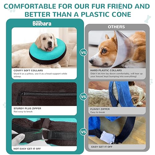 Inflatable Collar Better Option Than Dog Cone Inflatable Collar Dog Cone  Alternative Petco Dog Cone, Inflatable