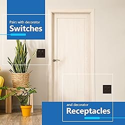 LIDER Matte Finish Decorator Switch