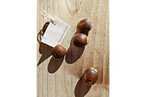 Hundredfold Swamp White Oak 5 Tree Nut Acorn Seeds - Quercus Bicolour North America Native, Bicolor Oak, Medium Specimen & Sh