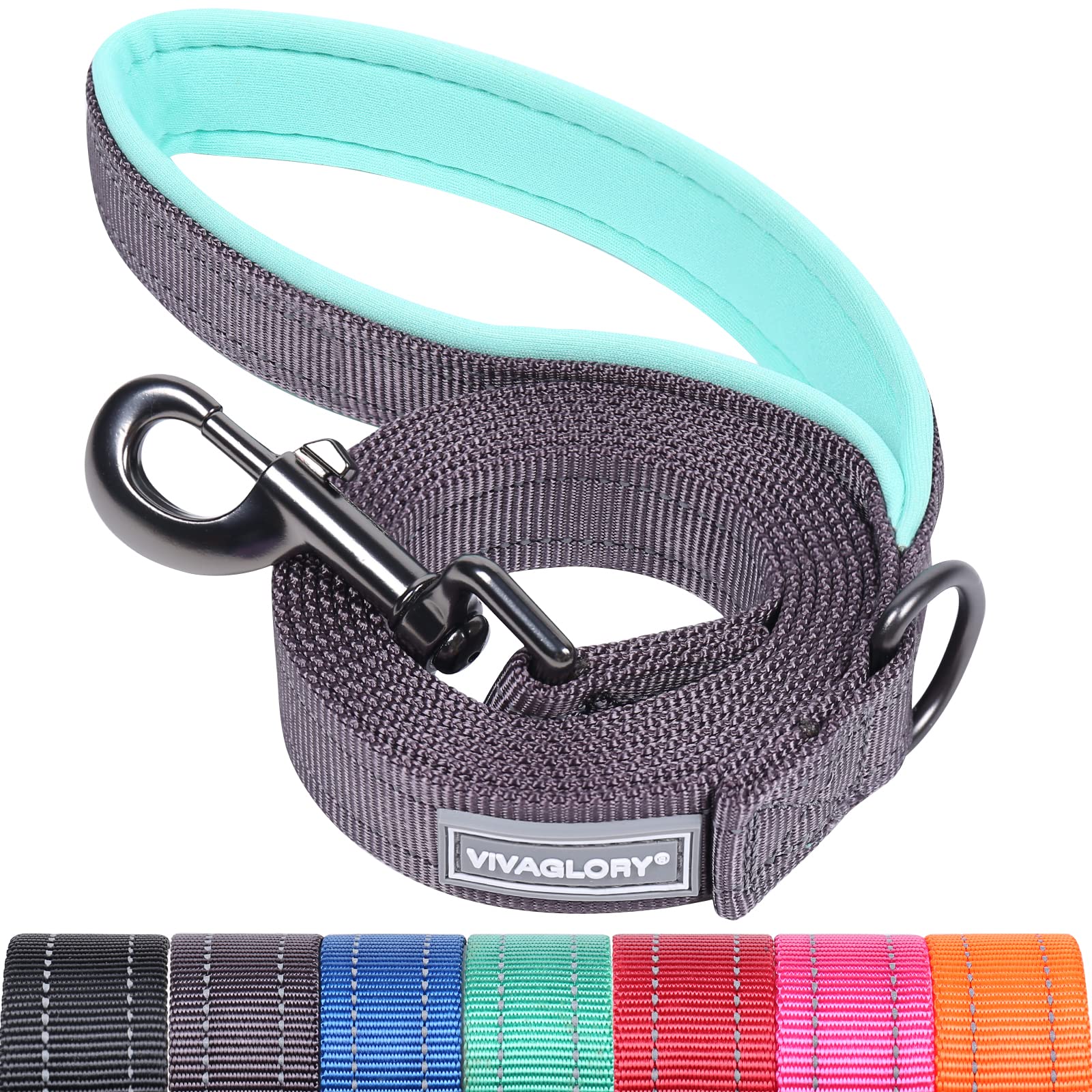 VIVAGLORY Dog Lead Dailyx Dog Leash, Lead with Soft Padded Handle for Training & Walking, Heavy Duty & Double Layer Nylon for Pet Puppy, 180 x 2.5cm, Grey