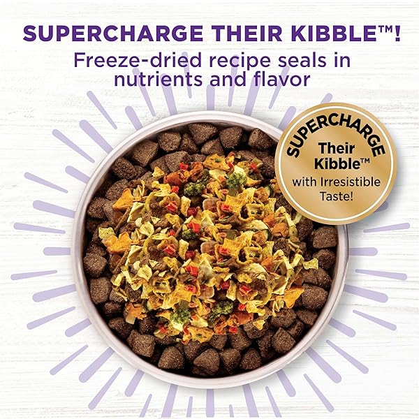 WELLNESS BOWL BOOSTERS, DOG FOOD TOPPER FOR SMALL, MEDIUM, & LARGE BREEDS, GRAIN FREE, NATURAL, FREEZE DRIED, DIGESTIVE HEALTH CHICKEN, 4 OUNCE BAG (PACK OF 1)