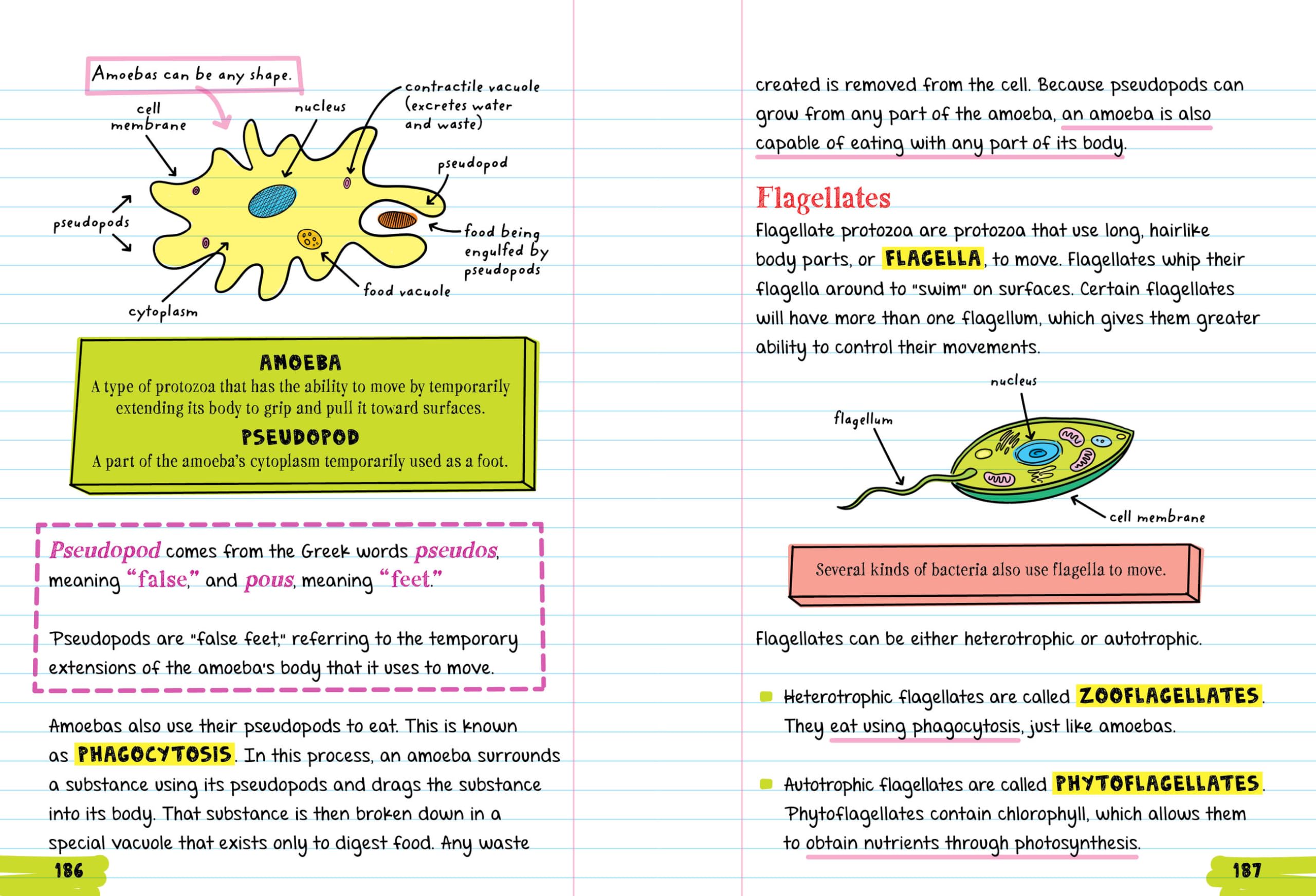 Everything You Need to Ace Biology in One Big Fat Notebook (Big Fat Notebooks) Everything You Need to Ace Biology in One Big Fat Notebook (Big Fat Notebooks) Paperback Kindle