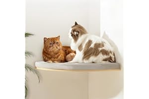 Large 31.5” Radius, 20" L CALLICO HAVEN- Corner Cat Wall Shelves, Modern Wall Cat Bed, Corner Wall Hammock for Cats, Space-Saving Wall Cat Tree Bed, Sturdy/Hidden Mounts, Washable Cover- Fan Shape