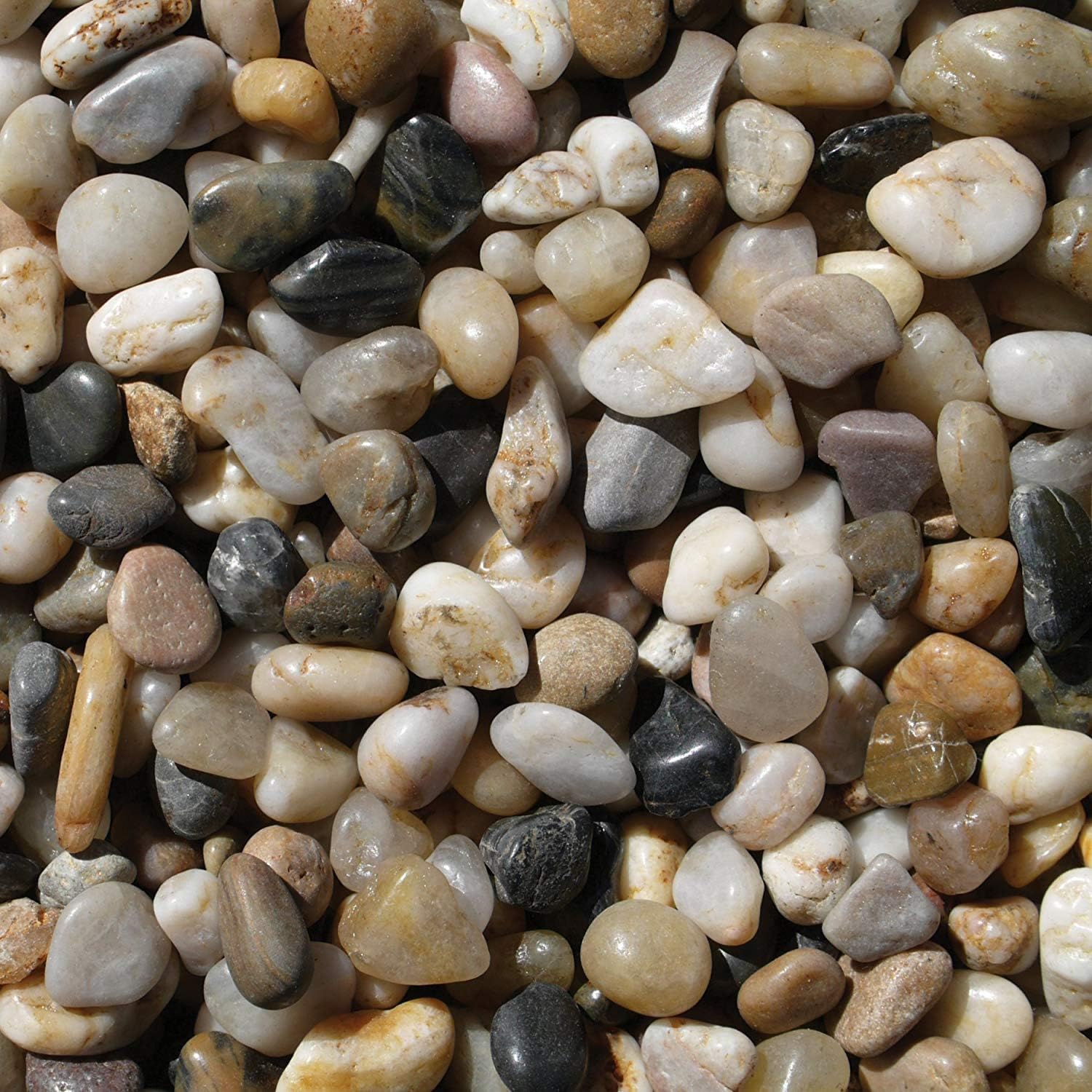 Exotic Pebbles PMS0510 Polished Gravel, Mixed, 5 Pounds, 3/8-Inch : Outdoor Decorative Stones : Garden & Outdoor