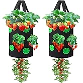 Miewslan 2 Pack Gardens Upside Down Strawberry Planter, Hanging Tomato Strawberry Grow Planter Garden Vegetable Planting Bags with Holes(Black)