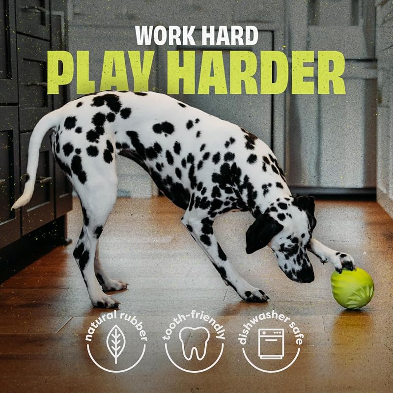 Pawbler Gioco interattivo per cani, distributore, M/L
