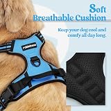 rabbitgoo Dog Harness Medium No Pull Reflective Adjustable Vest Blue M view 3