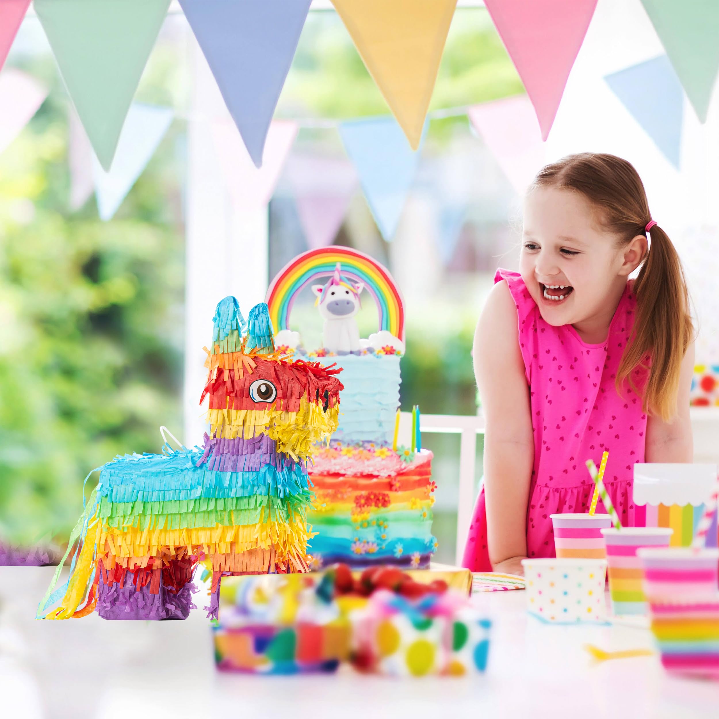 The Award Box Donkey Pinata Animal Theme Birthday Party Decorations 16.5 in