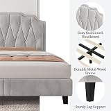 Yaheetech 4ft6 Double Bed Frame Upholstered Platform Beige Velvet Headboard view 6