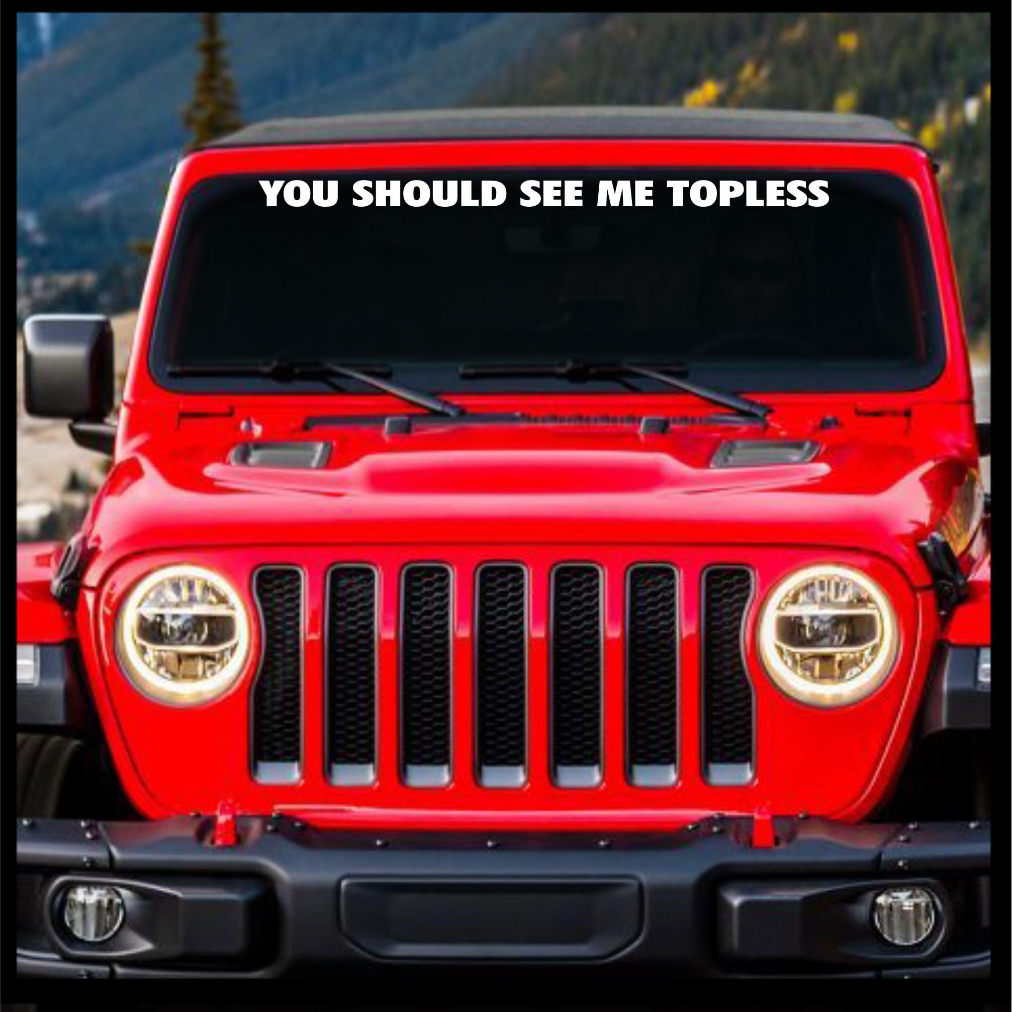 Sticker ConnectionYou Should See Me Topless Window Banner | Die Cut Windshield Banner for Jeep Wrangler (2"x30", White)