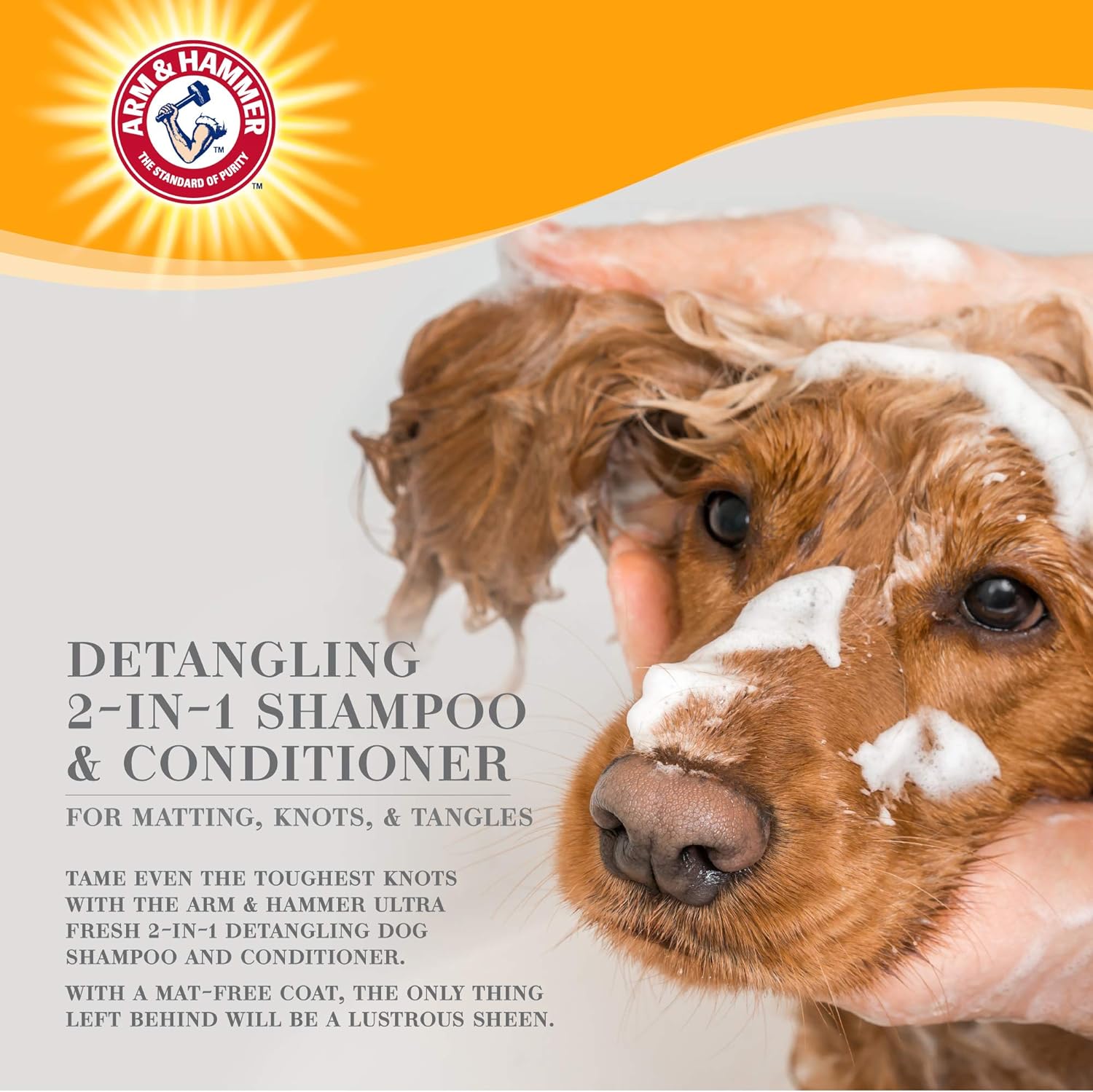 arm and hammer dog shampoo
