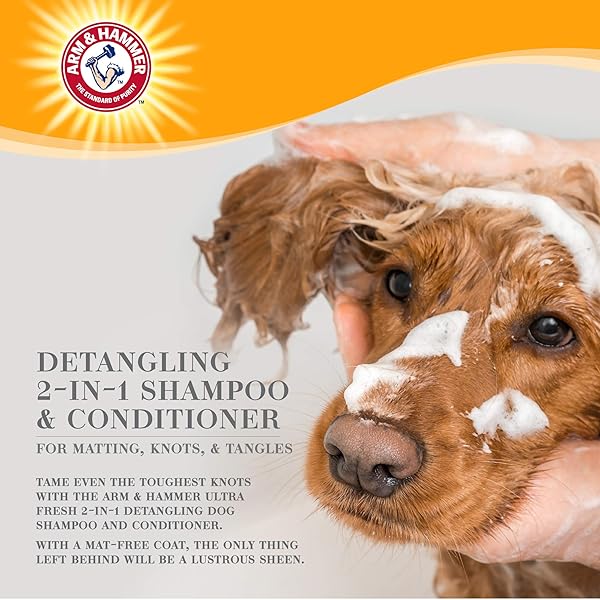 ARM & HAMMER ULTRA FRESH 2 IN 1 DETANGLING DOG SHAMPOO AND CONDITIONER WITH BAKING SODA DEODORIZER, MOISTURIZING PET WASH FOR TANGLES AND ODOR CONTROL, CUCUMBER PRICKLY PEAR SCENT, 16 FL OZ
