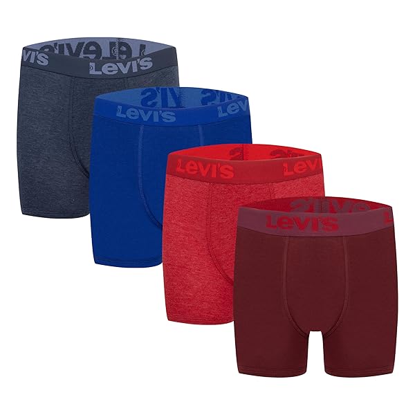 CLASSIC BOXER BRIEFS (4-PACK)